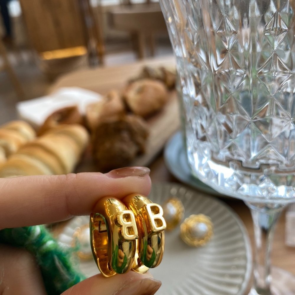 Earrings (Brand New)